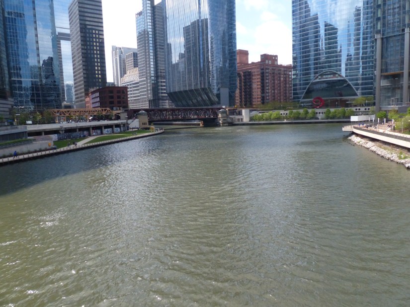 bifurcation of the Chicago River at Wolf Point
